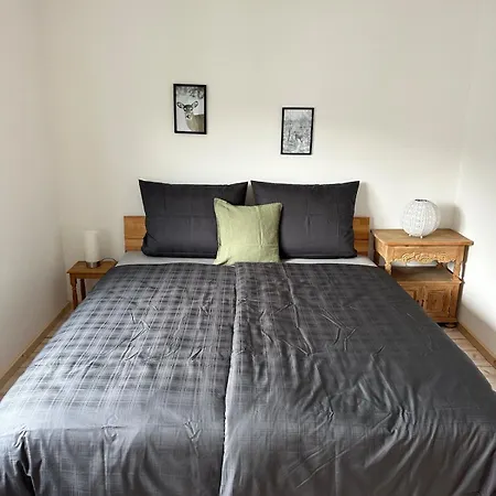 Balkonwohnung Mit Traumausblick! * Sankt Englmar